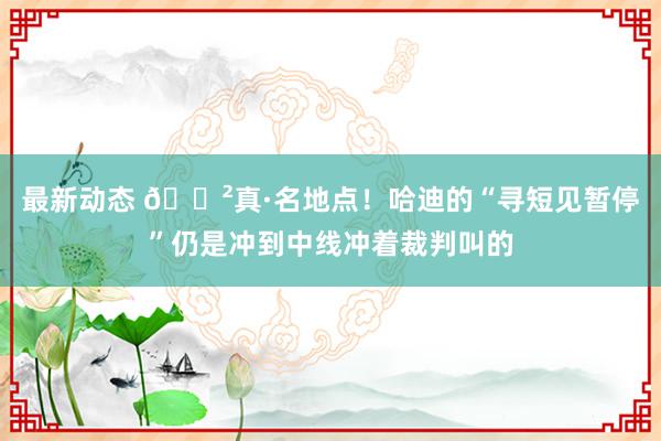 最新动态 😲真·名地点！哈迪的“寻短见暂停”仍是冲到中线冲着裁判叫的