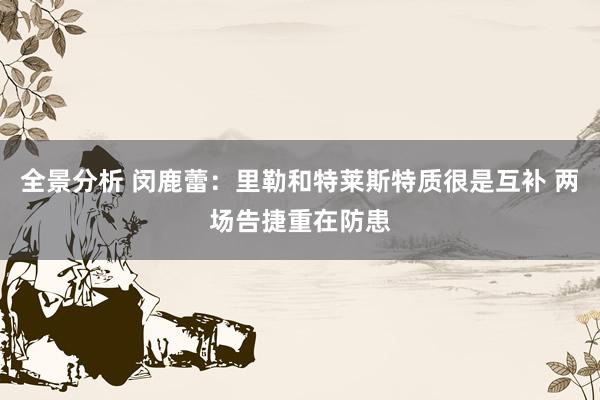 全景分析 闵鹿蕾：里勒和特莱斯特质很是互补 两场告捷重在防患