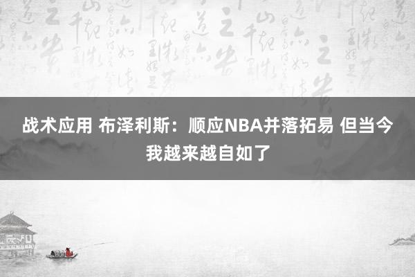 战术应用 布泽利斯：顺应NBA并落拓易 但当今我越来越自如了