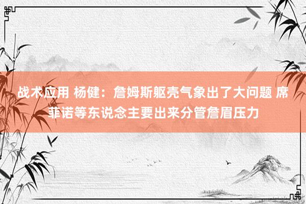 战术应用 杨健：詹姆斯躯壳气象出了大问题 席菲诺等东说念主要出来分管詹眉压力