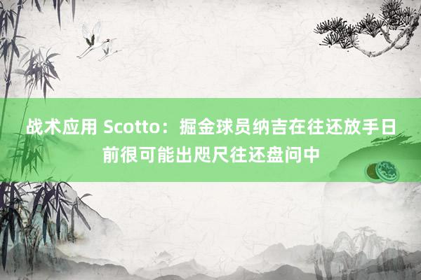 战术应用 Scotto：掘金球员纳吉在往还放手日前很可能出咫尺往还盘问中