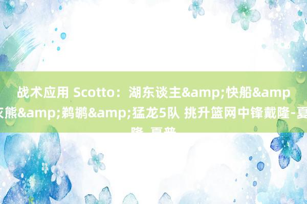 战术应用 Scotto：湖东谈主&快船&灰熊&鹈鹕&猛龙5队 挑升篮网中锋戴隆-夏普