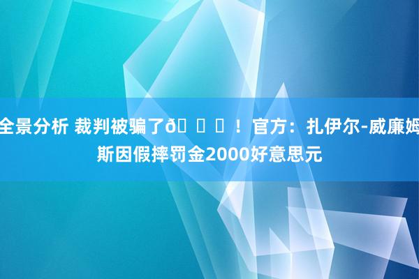 全景分析 裁判被骗了😅！官方：扎伊尔-威廉姆斯因假摔罚金2000好意思元